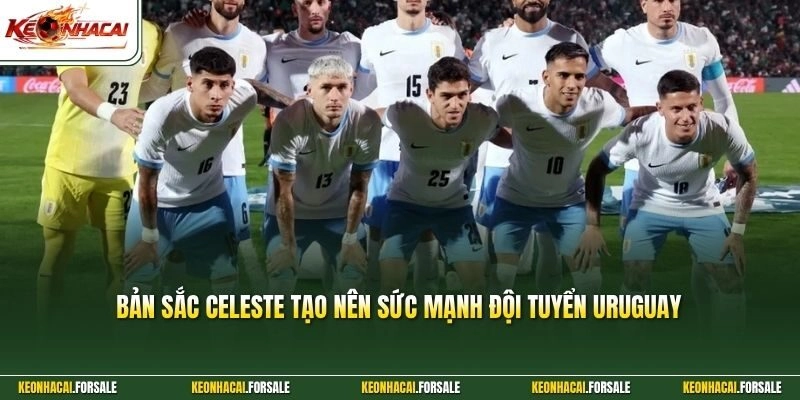 Bản sắc Celeste tạo nên sức mạnh đội tuyển Uruguay