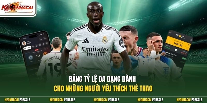 Bảng tỷ lệ đa dạng dành cho những người yêu thích thể thao