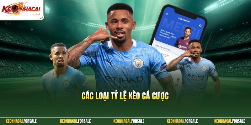 Các Loại Tỷ Lệ Kèo Cá Cược - Bí Quyết Đọc Bảng Vị Chuẩn Xác