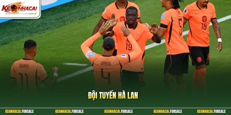 Đội Tuyển Hà Lan Và Triết Lý Bóng Đá Tổng Lực Đỉnh Cao