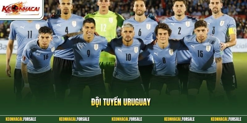 Đội Tuyển Uruguay Và Di Sản Của Nhà Vô Địch Lịch Sử 